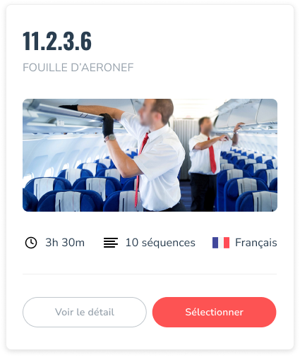 Expert en sûreté et sécurité des aéroports
